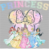 Princess-PR 581